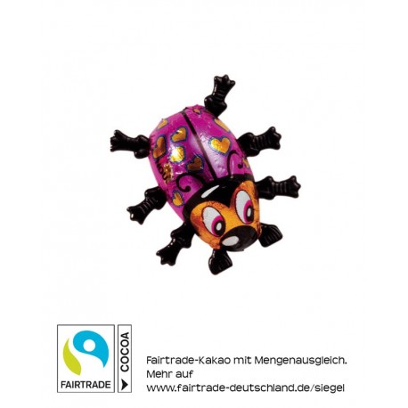 Bunter Nougatkäfer