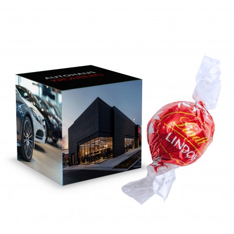 Mini cube Lindor Praline