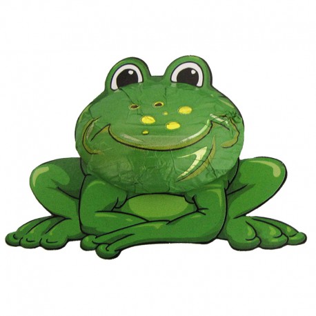 Frosch Heini